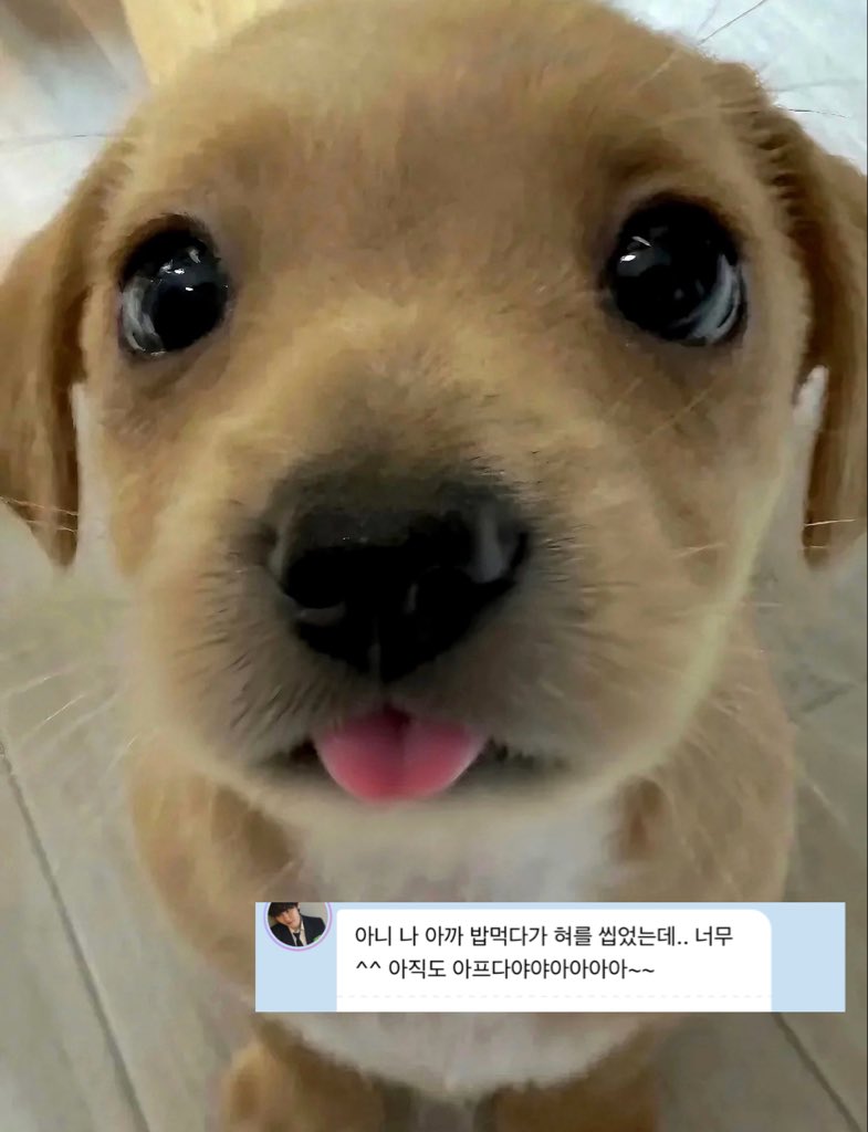 bae05061120's tweet photo. kiyo https://t.co/bcTRb5dAmb