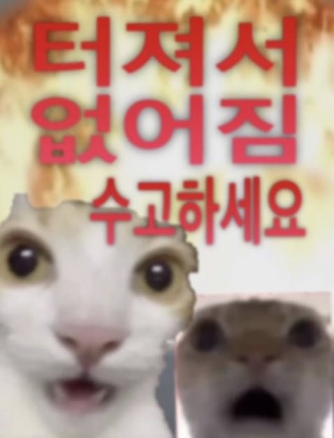 nnmsgv's tweet photo. https://t.co/lsQwLFMXOs