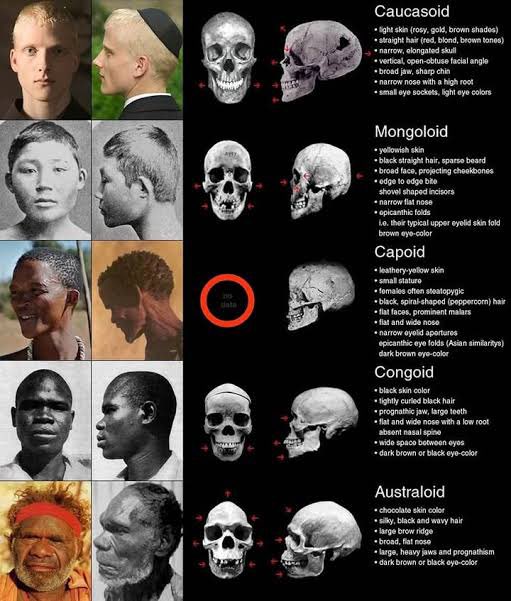BrianSm21635529's tweet photo. @etherframe0 @Sanatani_sevak So are all the dogs same to you??? Humans are biologically wired differently and it’s a fact. https://t.co/cgnzSy5Ink