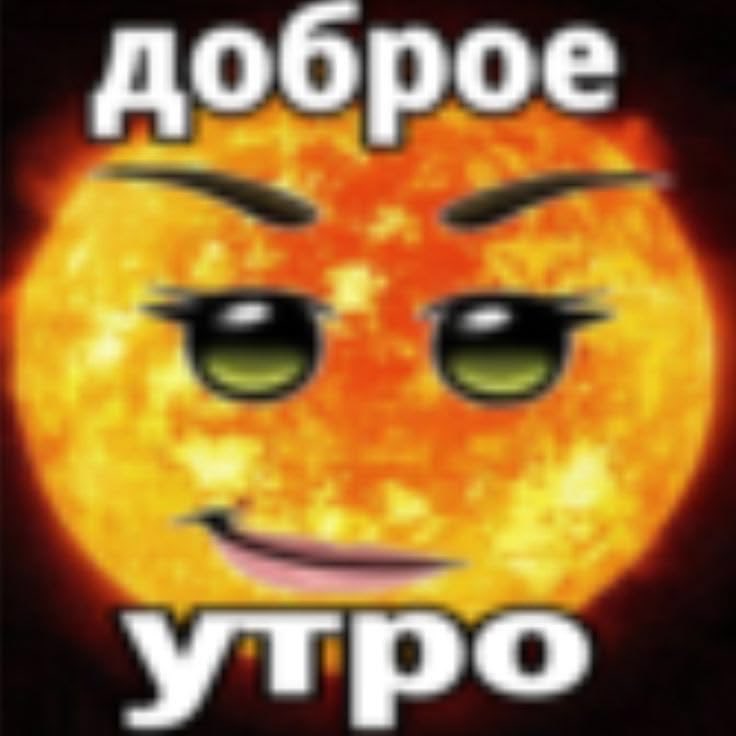 Wirallly's tweet photo. Бебебебеббебебебе https://t.co/82CdsLepSC