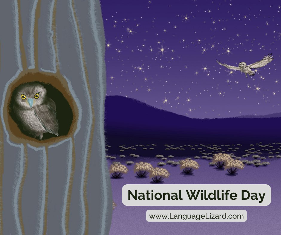 LanguageLizard's tweet photo. It's #NationalWildlifeDay!

Learn more about the wildlife around us with our 3-book Habitat Series. Available in many languages at https://t.co/XmJOPYIkg2!

#bilingualkidsbooks #bilingualkids #kidsbooksaboutnature #habitats #duallanguage #enviromentalawareness https://t.co/YFaUhNWSMm