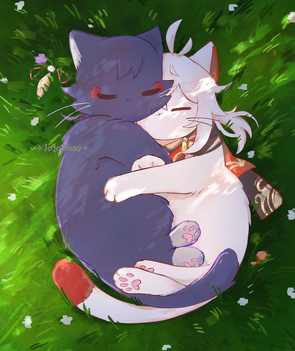 JojoSeamy's tweet photo. 🩷 #genshinimpact #Scaramouche #scarameow #kazuha #kazuscara https://t.co/VWB4aa5icT
