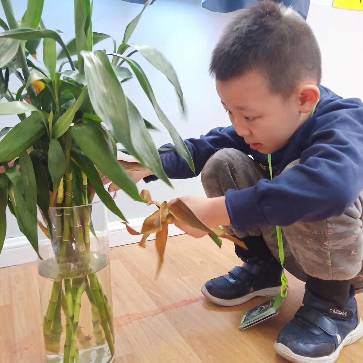 cornb137767's tweet photo. Just couldn't wait to unbox my latest parcel—found the perfect tiny plant I've been hunting for! https://t.co/5jpzFeeYHa