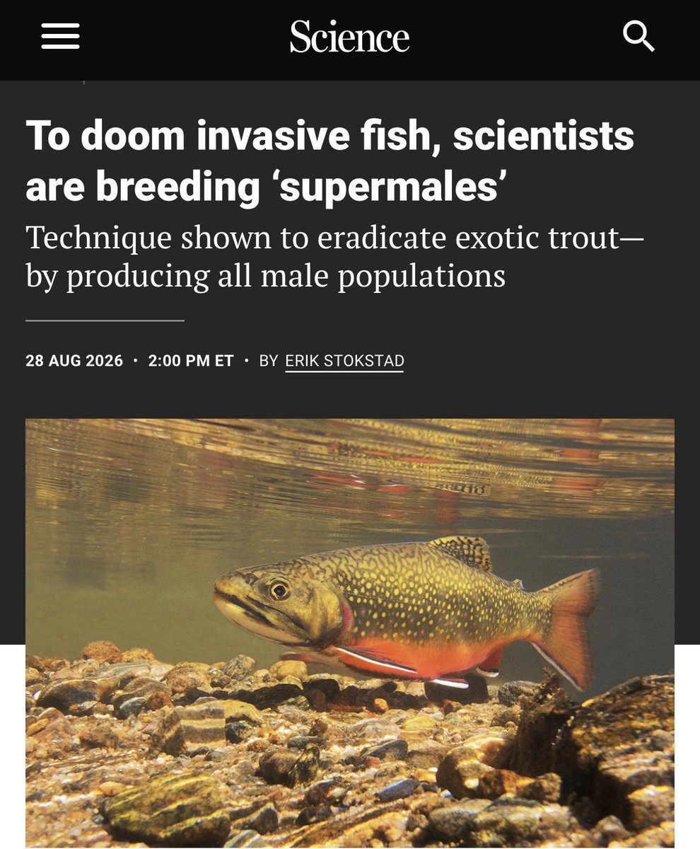 TheLastFarm's tweet photo. Great research &amp; a prime example of why I don’t accept the defeatist notion that we can’t eradicate invasive species. The reality is that we put very little effort &amp; money into it, even though invasives pose an existential threat to biodiversity. The solutions are out there https://t.co/xRSQbVm08C