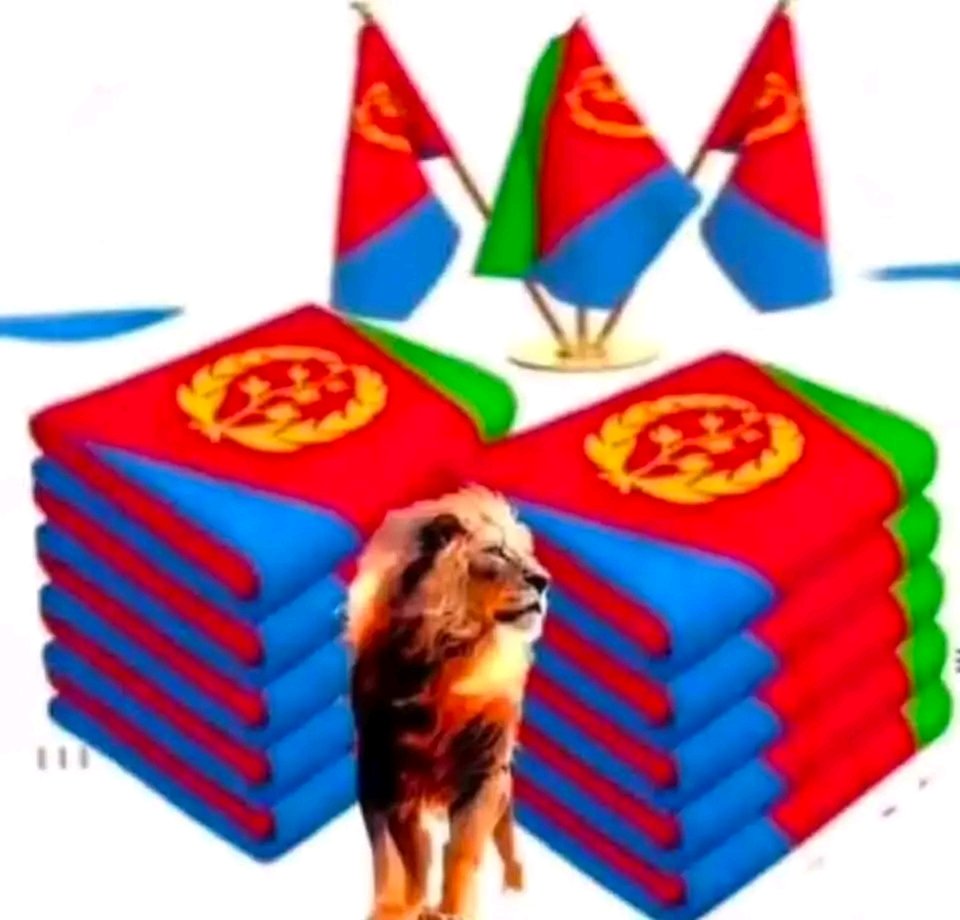 NorinaFereg's tweet photo. @benyrob12 @thedrosg1 @AbiyAhmedAli @fanatelevision @addisstandard SHABYA BE AND SIDDI ADEG WISHA YEHONE MINESA ADELEM . YE SHABYA JIGNINET ALEM YEMESEKERELET NOW BEZI WIDIDIR YE SINIT GUDAY BE ALEM YALE ERITREANOCH ALEN BE ANDINETACHIN TASHENIFALECH https://t.co/f6KHf2ouC2
