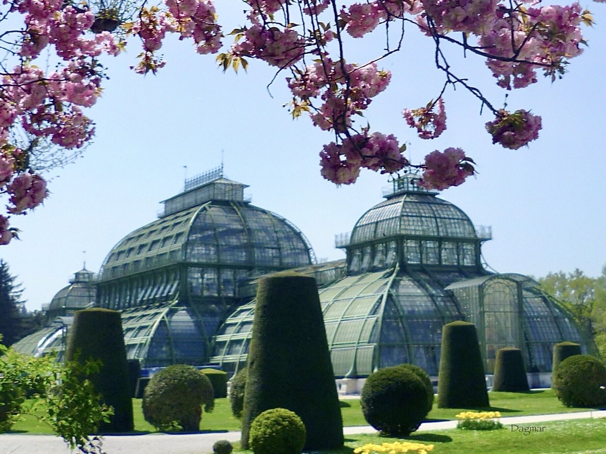 annasdottir_d's tweet photo. The palmhouse, Schloss Schönbrunn, Vienna, 1882, the biggest glasshouse of the world 

#FerrousFriday #Vienna #travel #palmhouse https://t.co/45jss5GerZ