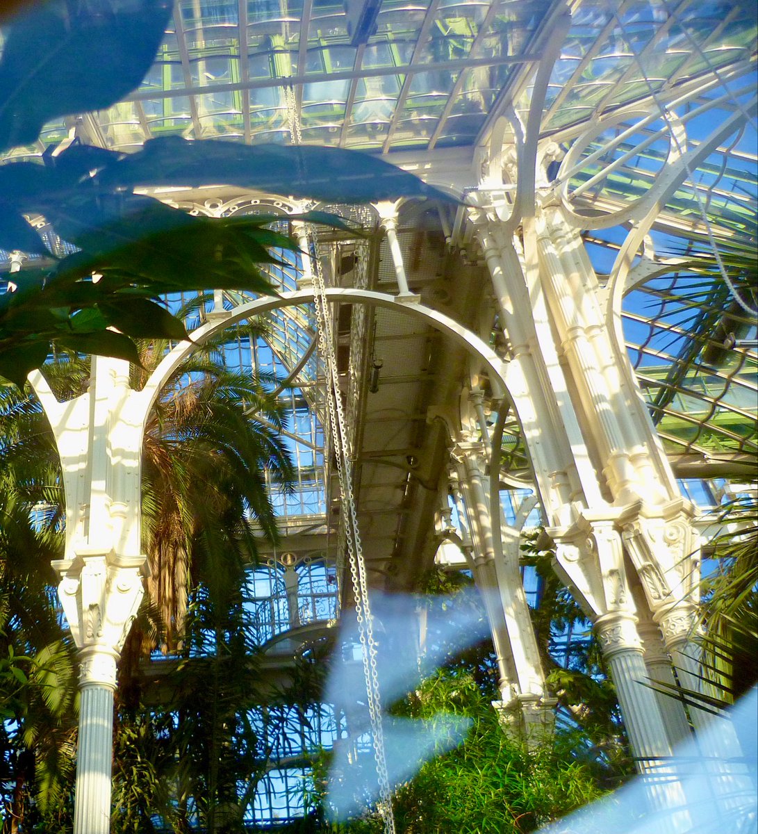 annasdottir_d's tweet photo. The palmhouse, Schloss Schönbrunn, Vienna, 1882, the biggest glasshouse of the world 

#FerrousFriday #Vienna #travel #palmhouse https://t.co/45jss5GerZ