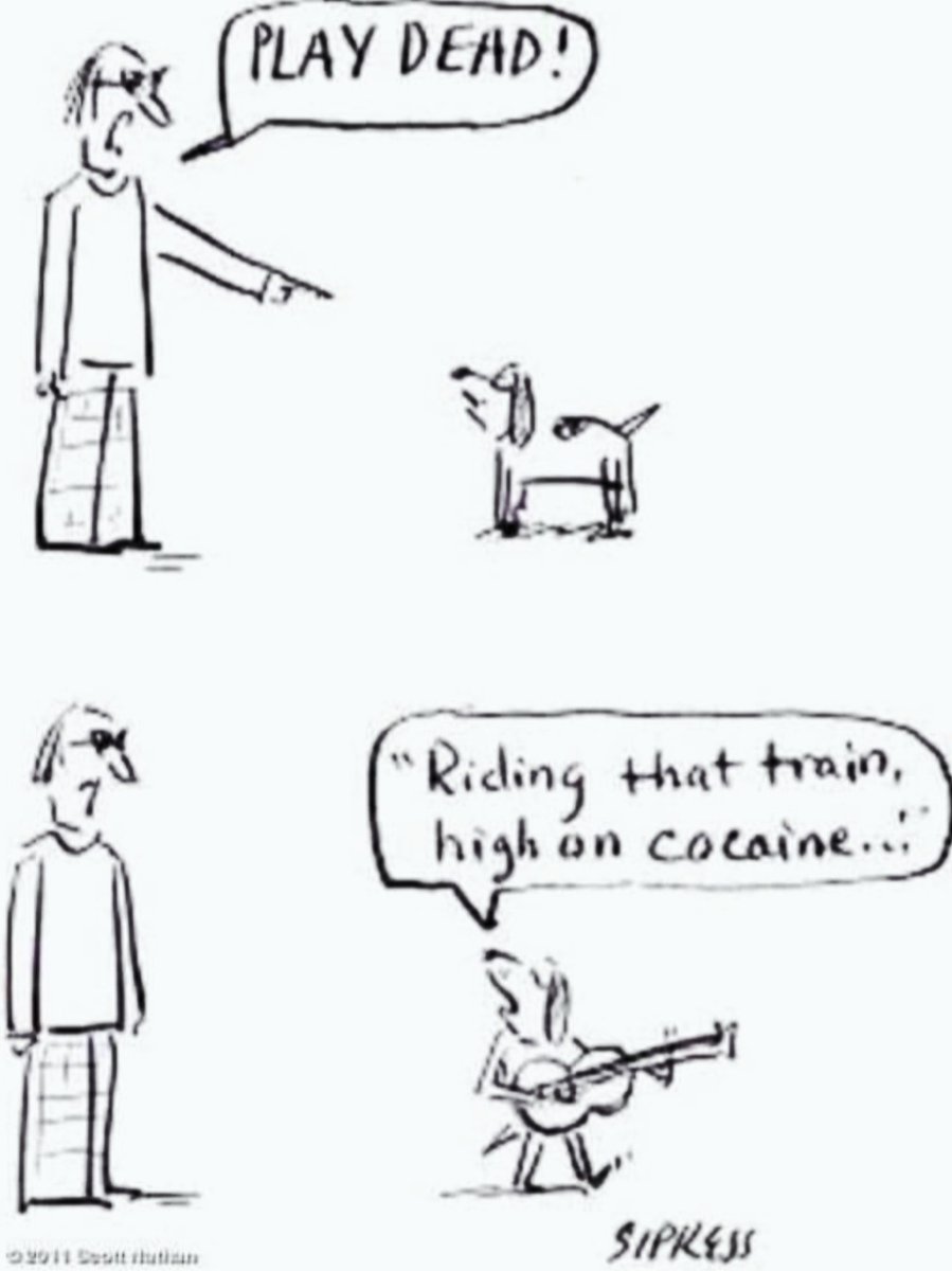 softtail65's tweet photo. Lol 😅🎶🤣🎶😂 https://t.co/EgjYY13MOP