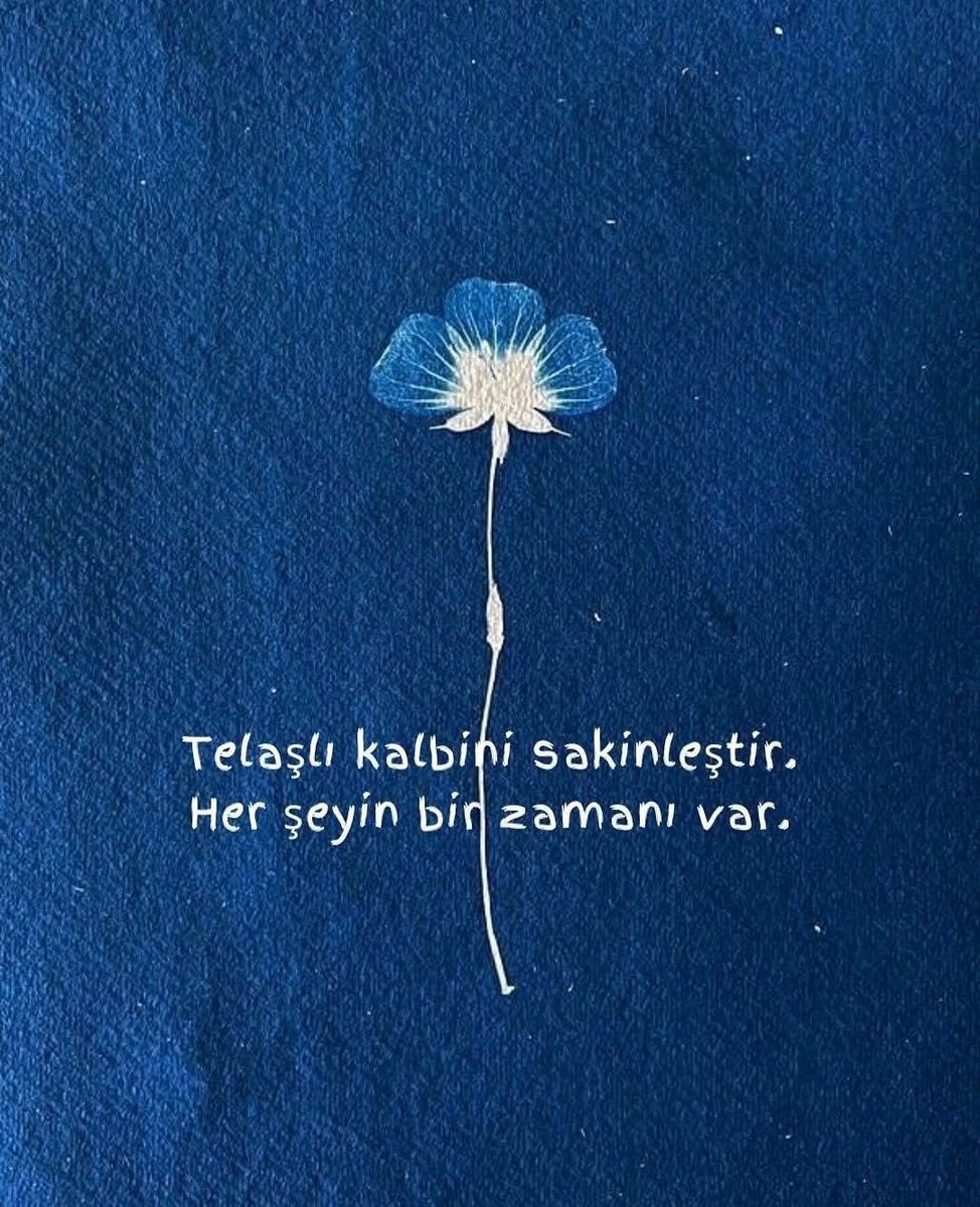 sevgilikendin's tweet photo. https://t.co/U3dJ4OeHVW