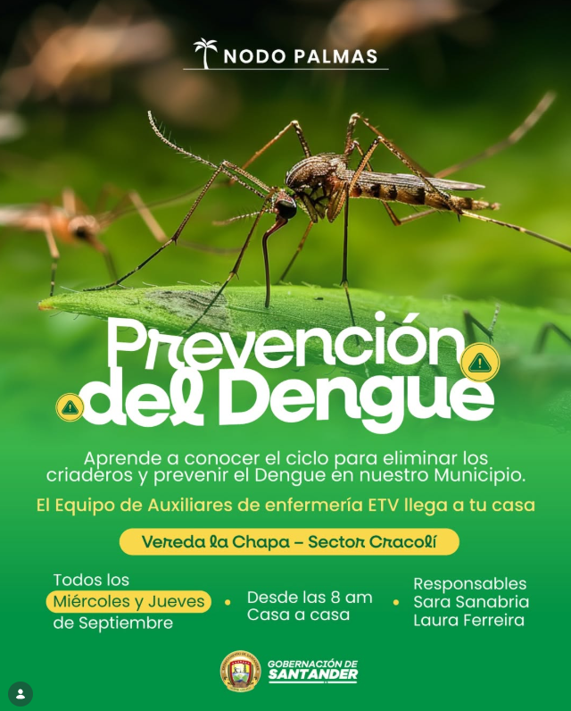ESEHMB's tweet photo. 🦟🚫 ¡Prevenir el dengue es tarea de todos!
El equipo ETV visitará casa a casa la vereda La Chapa, sector Cracoli, para ayudarte a eliminar criaderos. 🏡💚
📅 Miércoles y jueves de septiembre
⏰ Desde las 8:00 a. m.
🙌 ¡Recíbelos y súmate a la prevención!
#Dengue #Prevención https://t.co/e1a44jh9bP