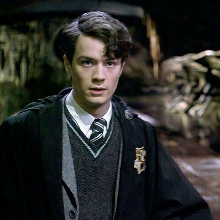 WW_Direct's tweet photo. Billy Barratt has been cast as Tom Riddle in HBO's HARRY POTTER and the Chamber of Secrets https://t.co/3qQzTvAepT