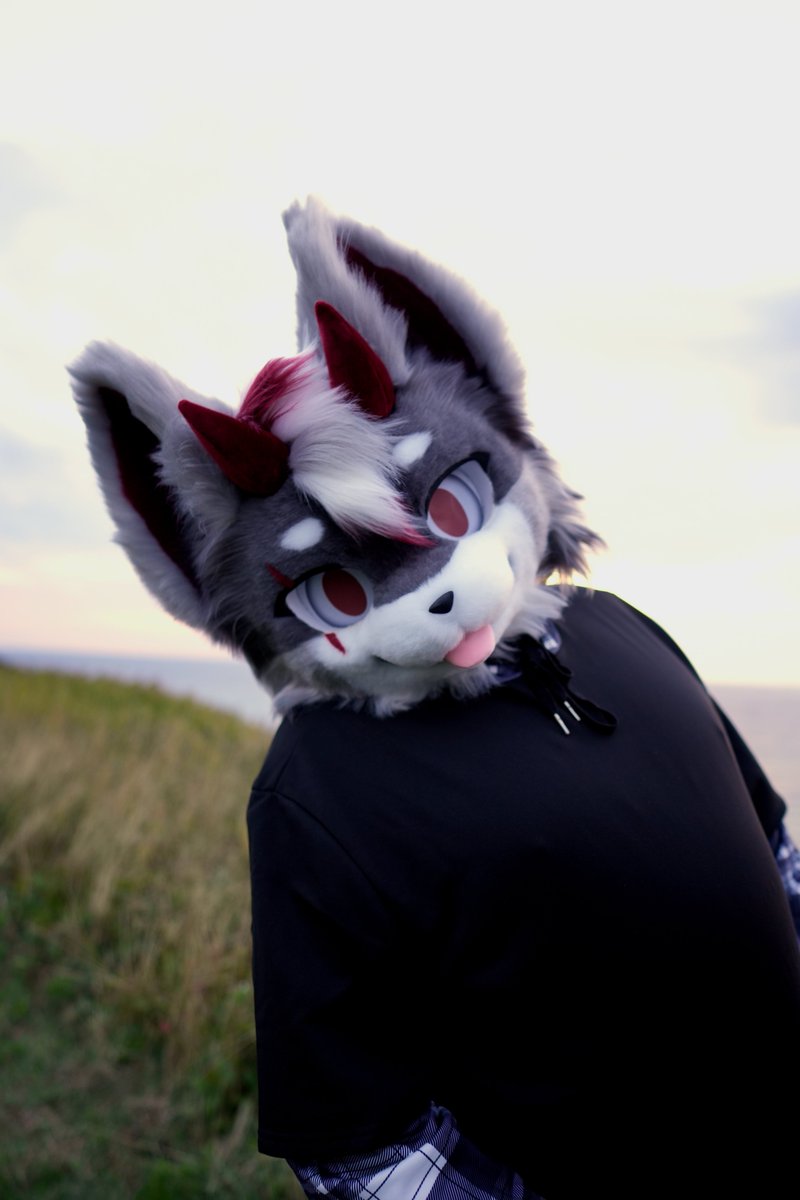 Vekta_Hellhound's tweet photo. Happy #FursuitFriday !
Had a blast at #Goobercon
This year, and we'll definitely return next year for more cozy fun with the entire gang โค๏ธ
๐ธ - @batteryfoxz https://t.co/UN0xB0AAVz