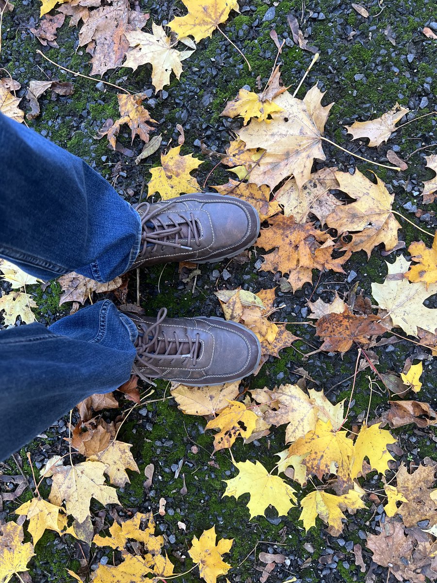 rkharish93's tweet photo. Itโs gonna be that time of the year pretty soonโฆ ๐โจ September is just the waiting period. Canโt wait for autumn! ๐
#AutumnFall #FallingLeaves https://t.co/72S3FXVF0F