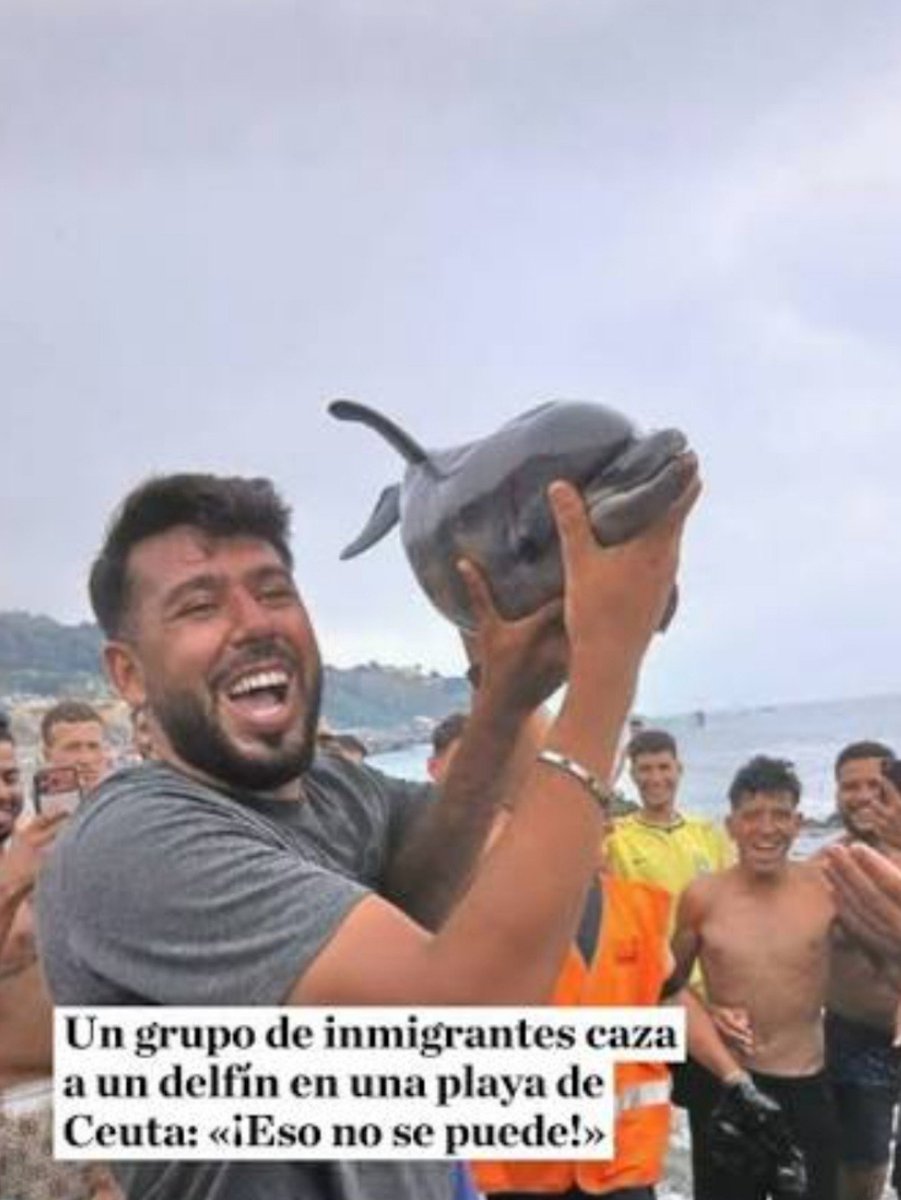 LoboNegro_es's tweet photo. ¿Os acordáis la que liaron los progres por un pato muerto en Madrid? 
No es el qué, es el quién. https://t.co/010UdFtKcq