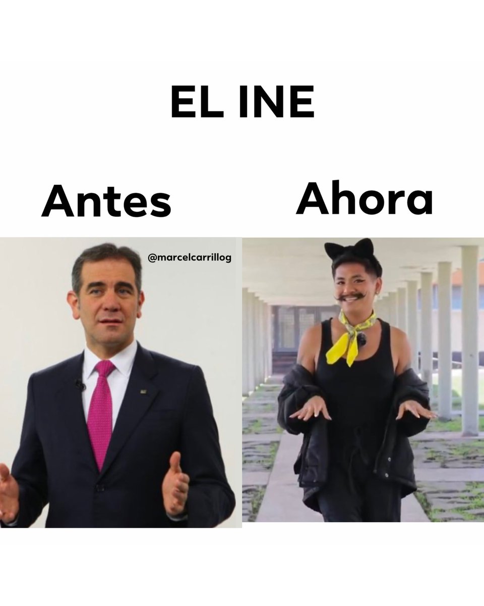 marcelcarrillog's tweet photo. El INE reemplazó la seriedad y el rigor democrático por un hombre disfrazado de gato. https://t.co/QXr8tz866X