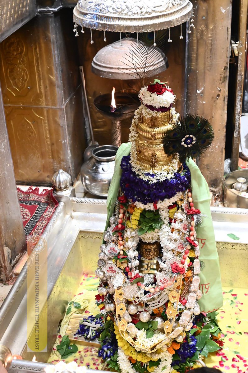 ShriVishwanath's tweet photo. श्री काशी विश्वनाथ जी की सप्तऋषि आरती I
#kashivishwanath #kashi #hindu #sanatandharma https://t.co/hEth6yHncp