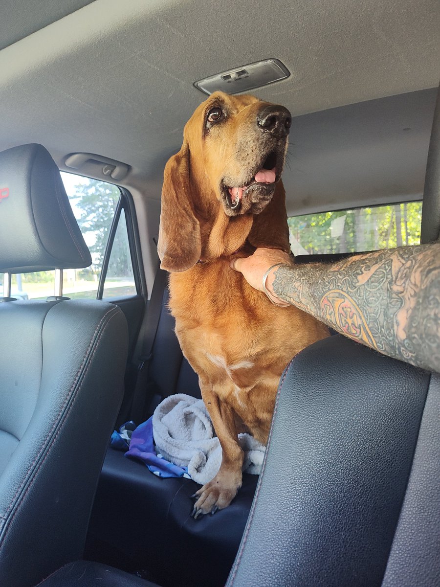 terryschappert's tweet photo. Got her!
Now, on to the beach and her new life. https://t.co/6D0ZCBjDes