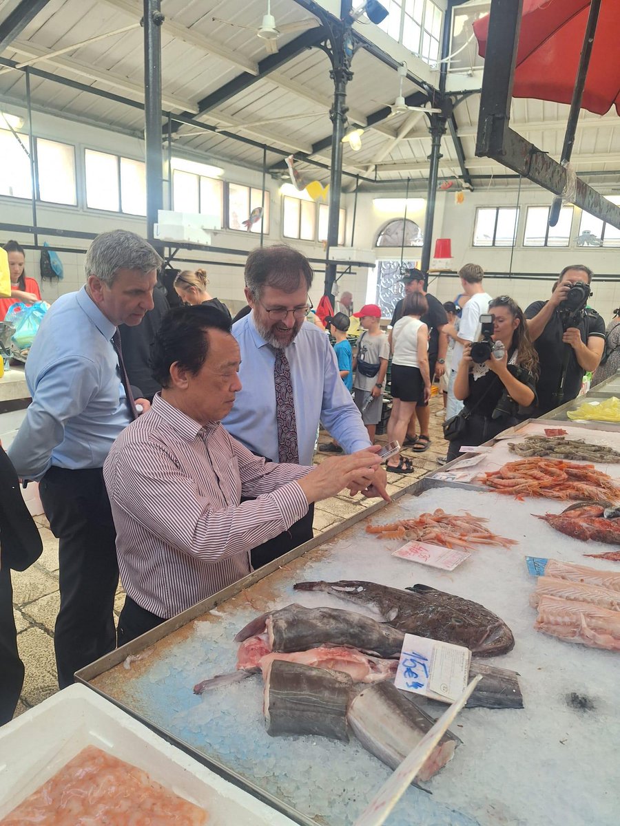 UN_FAO_GFCM's tweet photo. A🆕@UN_FAO_GFCM subregional technical unit opens in Split.
It will deliver tailored solutions for the Adriatic Sea through:
🔷 Direct support to members 🇦🇱🇧🇦🇭🇷🇮🇹🇲🇪🇸🇮
🔷 Stronger collaboration among governments, research institutions &amp;fisheries stakeholders
https://t.co/dlpAz6Fe4u https://t.co/Tkvlrehl8Y