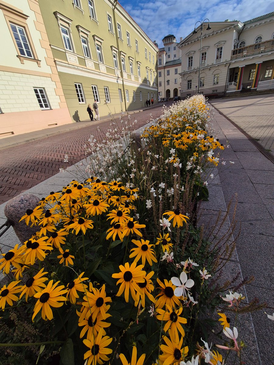 DanaeKoukouti's tweet photo. #Vilnius #Lithuania #streets #cities #photography https://t.co/dGM1feheWT