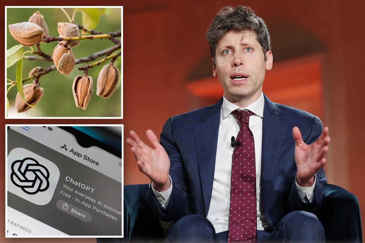 nypost's tweet photo. OpenAI CEO Sam Altman says 38K ChatGPT queries only use amount of water it takes to grow an almond https://t.co/thzjrDnsuj https://t.co/Yrnev4K7HH