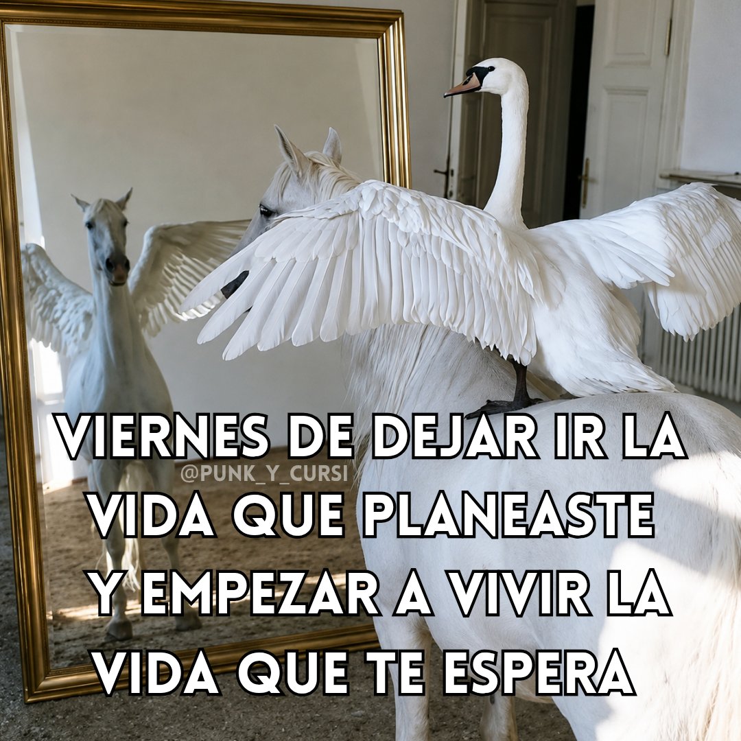 punk_y_cursi's tweet photo. 🪽🪽🪽🪽 https://t.co/TFa3zwM0yl