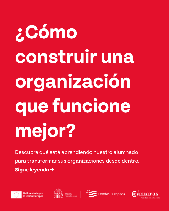 impulso_coop's tweet photo. ✅ Descubre qué está aprendiendo nuestro alumnado para transformar sus empresas desde dentro.
➡️ Impulso MC es un programa de formación cofinanciado por la Unión Europea, a través del #ProgramaEfeso (#FSEPlus).
#ImpulsoMC #Incyde #FondosEuropeos #ImpulsoCooperativo https://t.co/RjnfUn4q0E