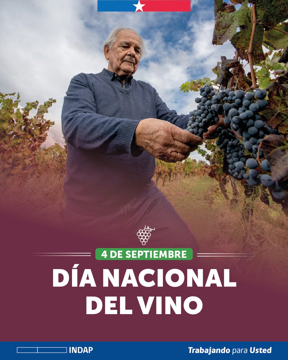 INDAP_Chile's tweet photo. Resguardaron valiosas cepas patrimoniales 🍇y adoptaron también con respeto nuevas variedades. El esfuerzo de muchas viñas familiares y campesinas hoy da frutos en 🇨🇱 y el 🌎con vinos altos en identidad, calidad y cariño. Es el Día Nacional del Vino y aquí saludamos logros 🧵👇 https://t.co/zIRFIaBjyN