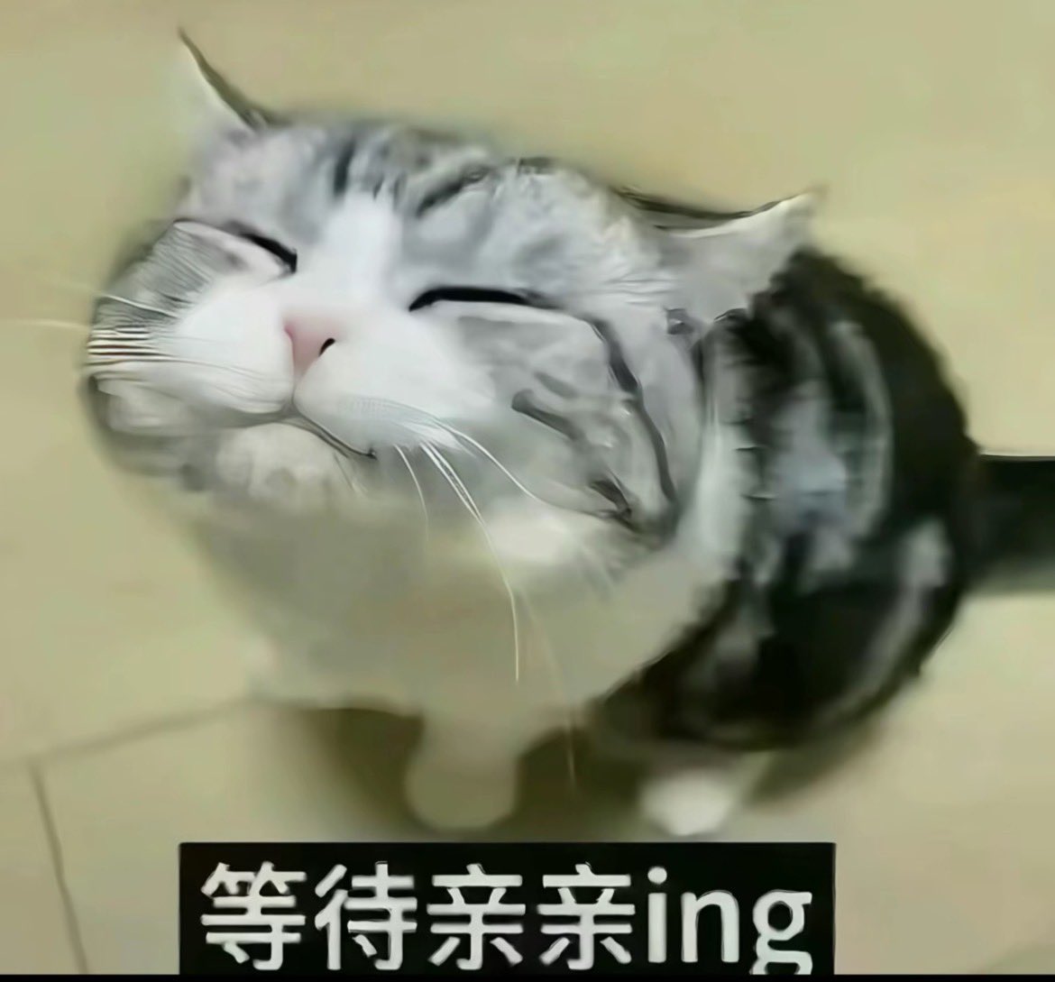 JingweTvT's tweet photo. @xuny233382 谢谢宝宝呐TT一只小鸟悄悄落泪感动中 https://t.co/7z5t2PTPVm