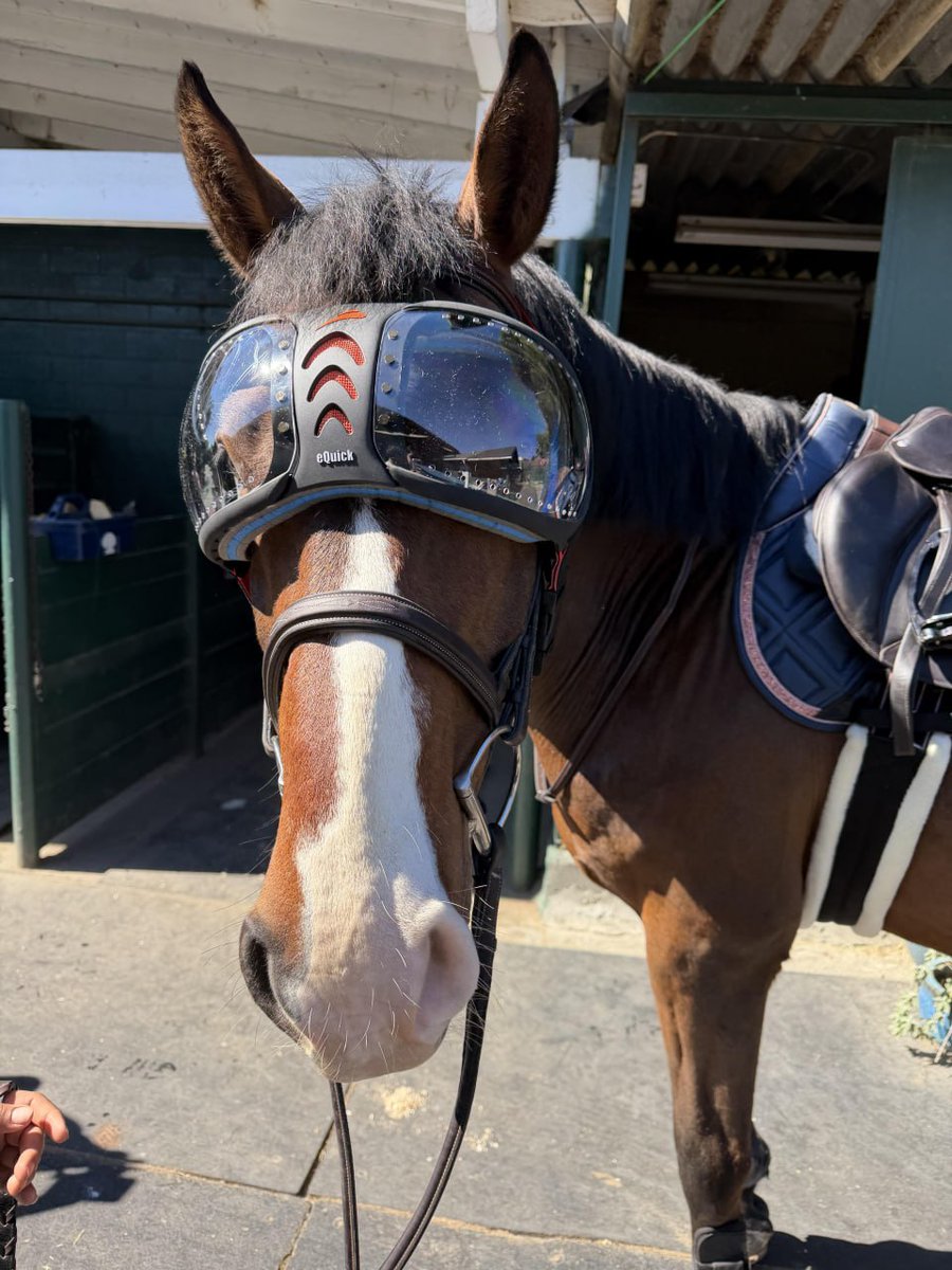 Edith7gy1y's tweet photo. I love that horseback riding requires my complete concentration. Once I'm on the saddle, all the worries and thoughts weighing on my mind seem to vanish. It's truly one of my favorite ways to clear my mind and rejuvenate.😁😁 https://t.co/K74nfidvHX