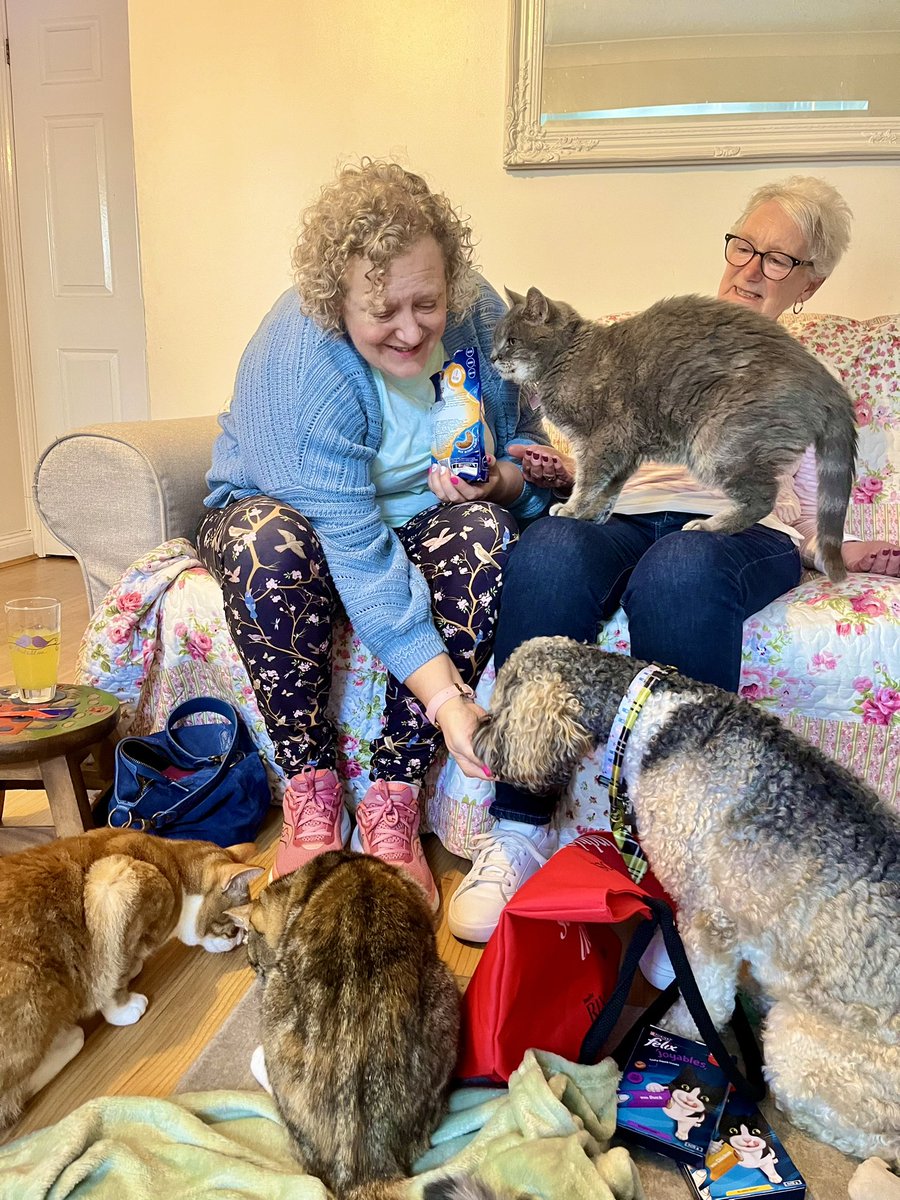 Malcolm_theCat's tweet photo. Friends! We had some Very Special Visitors! @MrsBandMinnie and her lovely Mum @JeanwithMLandL came to see us! They have been following us since my Accident and been such lovely friends on X. It was wonderful to meet them. They brought lots of Treats! We are so lucky ❤️❤️ https://t.co/eycxc1JL1K