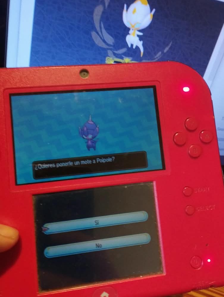 NivelCompleto's tweet photo. F No Poipole Shiny, No Pokopia jaja https://t.co/0hqWVC8GSh