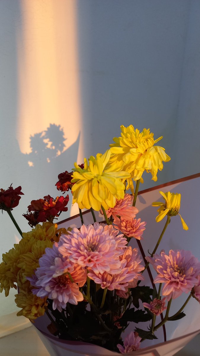 anindzaa's tweet photo. MasyaAllah Alhamdulillah,
nngis trharu bahagia aarrrgh 🥹🌻
smoga bnyak kelilingi hari2 baik dan bahagia *sembuh memeluk luka-luka* 🧚‍♀️🤲 maaksihhh syeng q hmmm ak sangat terkedjut *speechless 🫶 https://t.co/S6gE3sVDre