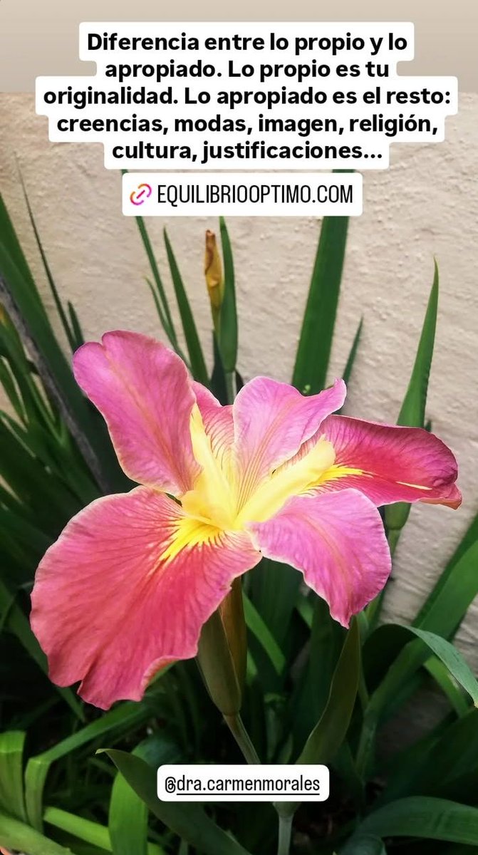 DraCarmenMorale's tweet photo. https://t.co/bnBUaJSsOc #Equilibriooptimo #SaludEmocional #ConsultaOnLine #ConsultaPresencial #Guadalajara #Zapopan #Jalisco #SaludIntegral #MedicinaIntegrativa #Homeopatía #ControlDePeso #ÁrbolGenealogico #Biodescodificacion #LaNoria #AdanAugustoLopez #AndresManuelLopezBeltran https://t.co/G3ZvVmBYia