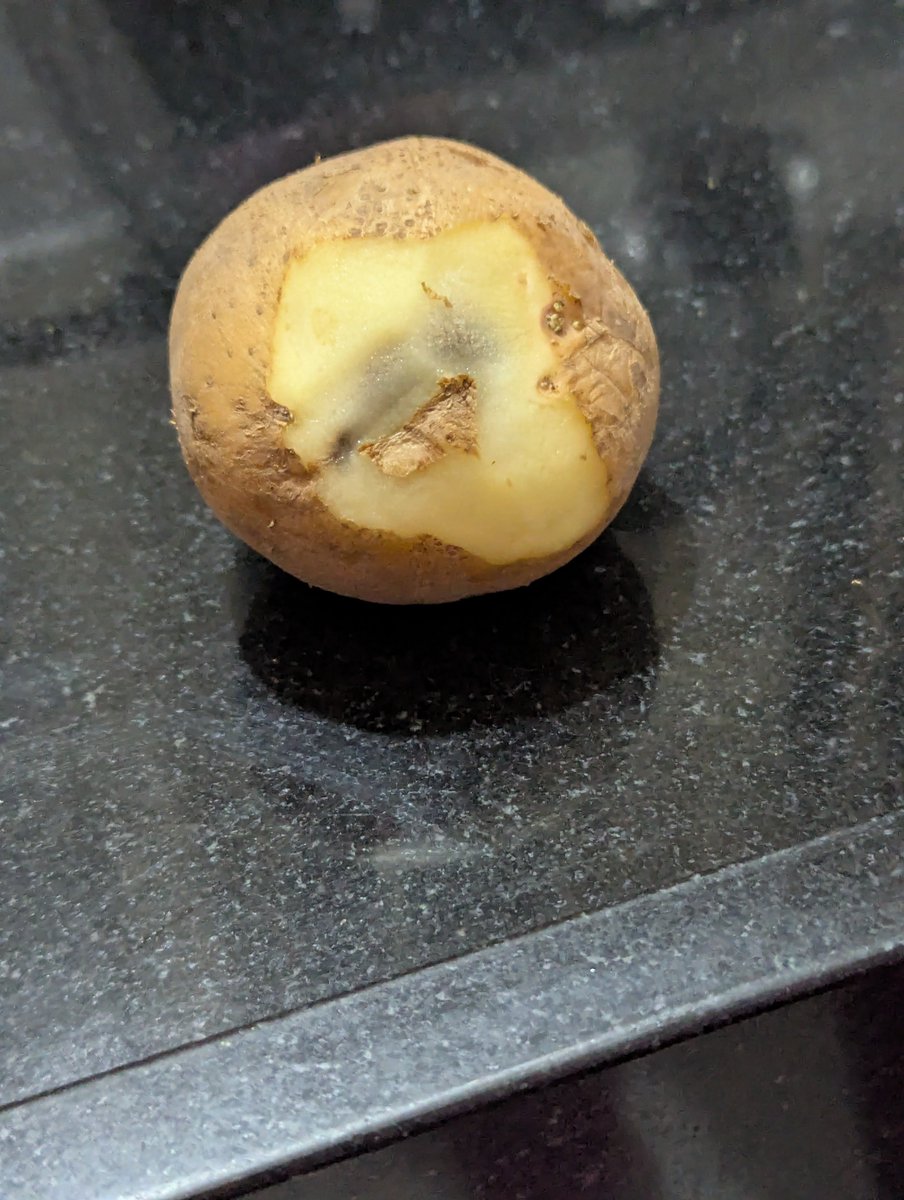 JigneshCha27925's tweet photo. @letsblinkit I ordered from Blinkit today. Smelly milk packets and bad quality potatoes. If you want to complaint, you will force customer to download app. Support executive will always tell that my  phone is busy. Even though, it is not. Customer is fool - yeah? https://t.co/pAE57x55rZ