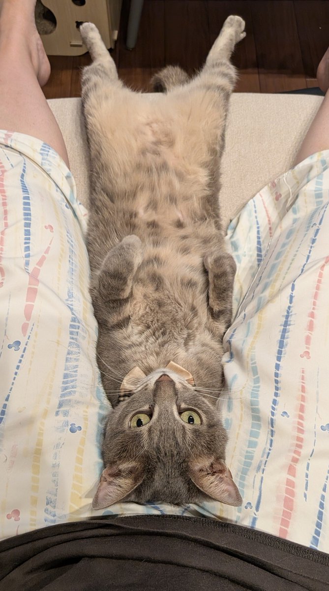 GEN2TAKERU's tweet photo. かわゆ🤭 https://t.co/EoFVzViROo