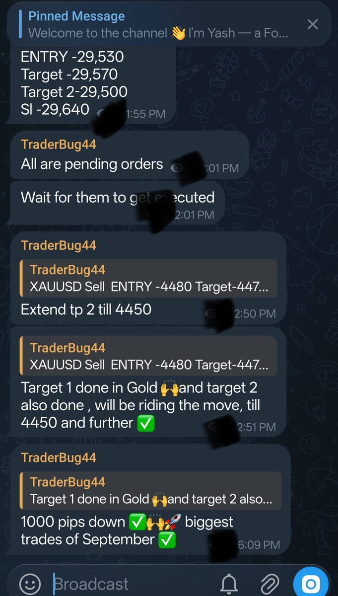 TraderBug44 tweet picture