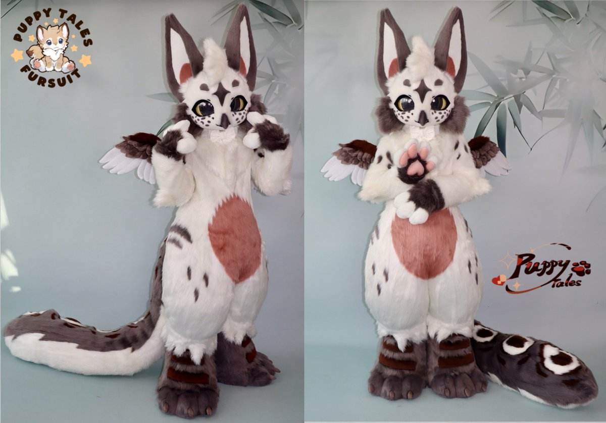 xiaoquandoki10's tweet photo. Commission work completed~✨
❄️🐆🪶🪶🪶🪶🪶🪶❄️🐆
Owner：@MudkizScug
Welcome to our family! 💗
Thank you for your continued support~ https://t.co/ClecSBphSM