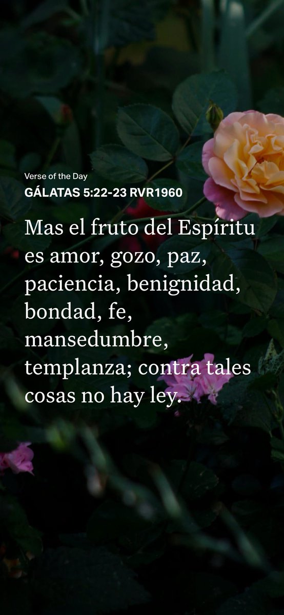 GabrielaParedes's tweet photo. https://t.co/sqFfl28hIa