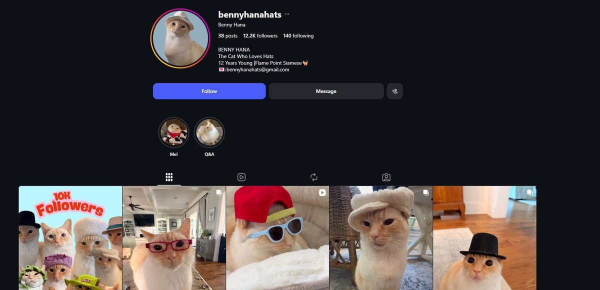 OriginalDever's tweet photo. This is a good narra This is Benny

he's the literal cat of hats

He has so many hats

his entire narrative, is HATS

His name is fucking benny hats

https://t.co/kyj4i6iAmq

He wears all these hats

he's literally the catwifhats

going super viral https://t.co/ogBJN7oumZ