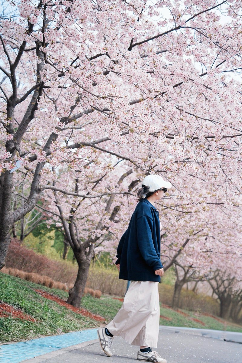 silkp464099's tweet photo. [Sunshine + cherry blossoms = perfect spring morning!  Grabbing my coffee and heading out to enjoy every warm, gentle breeze before the season flies by!] https://t.co/Id5Cd59Ysb