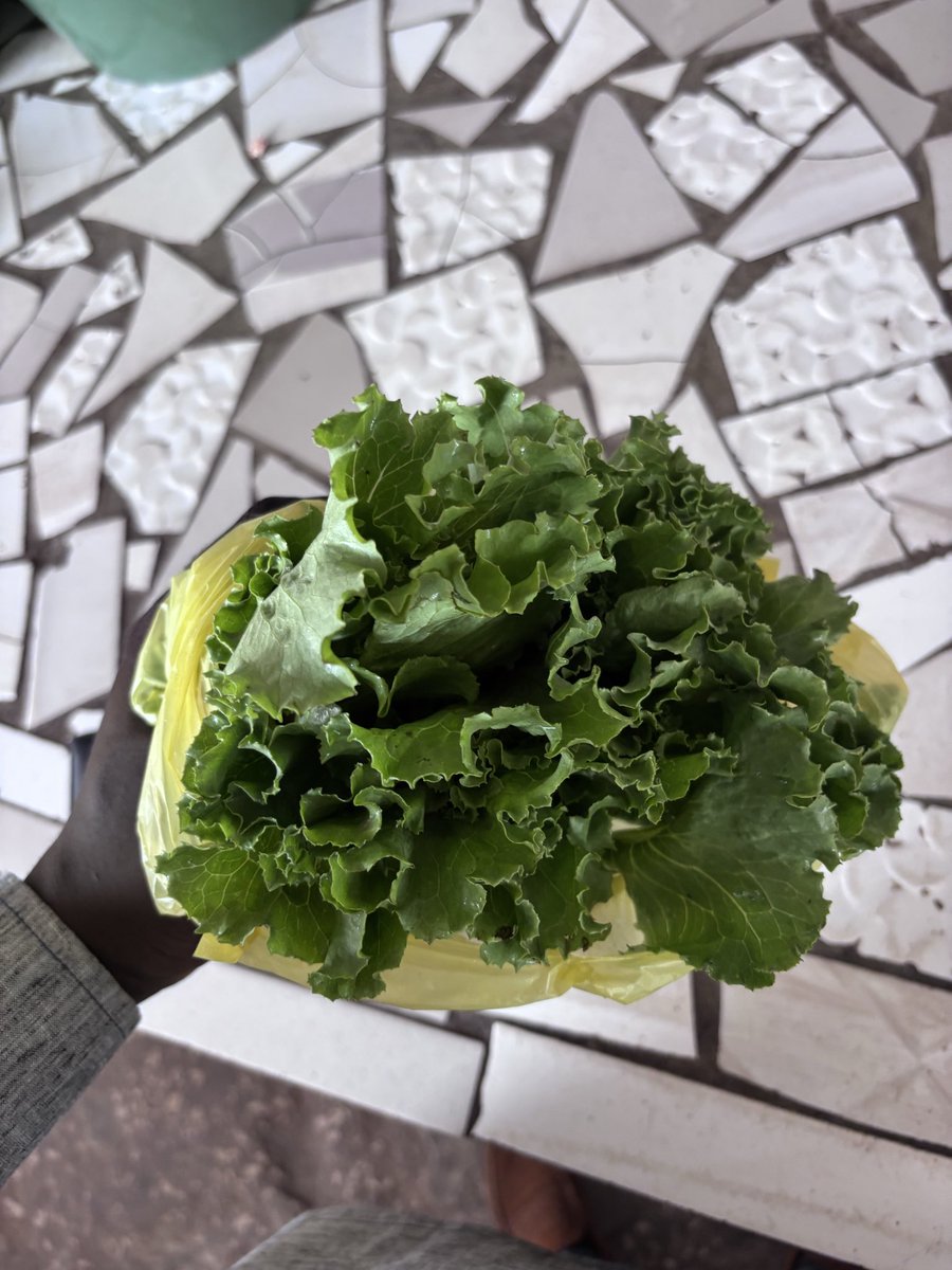 babaokbb's tweet photo. 1000 francs salade au marché. Allons rek ! https://t.co/njrw12D6e8