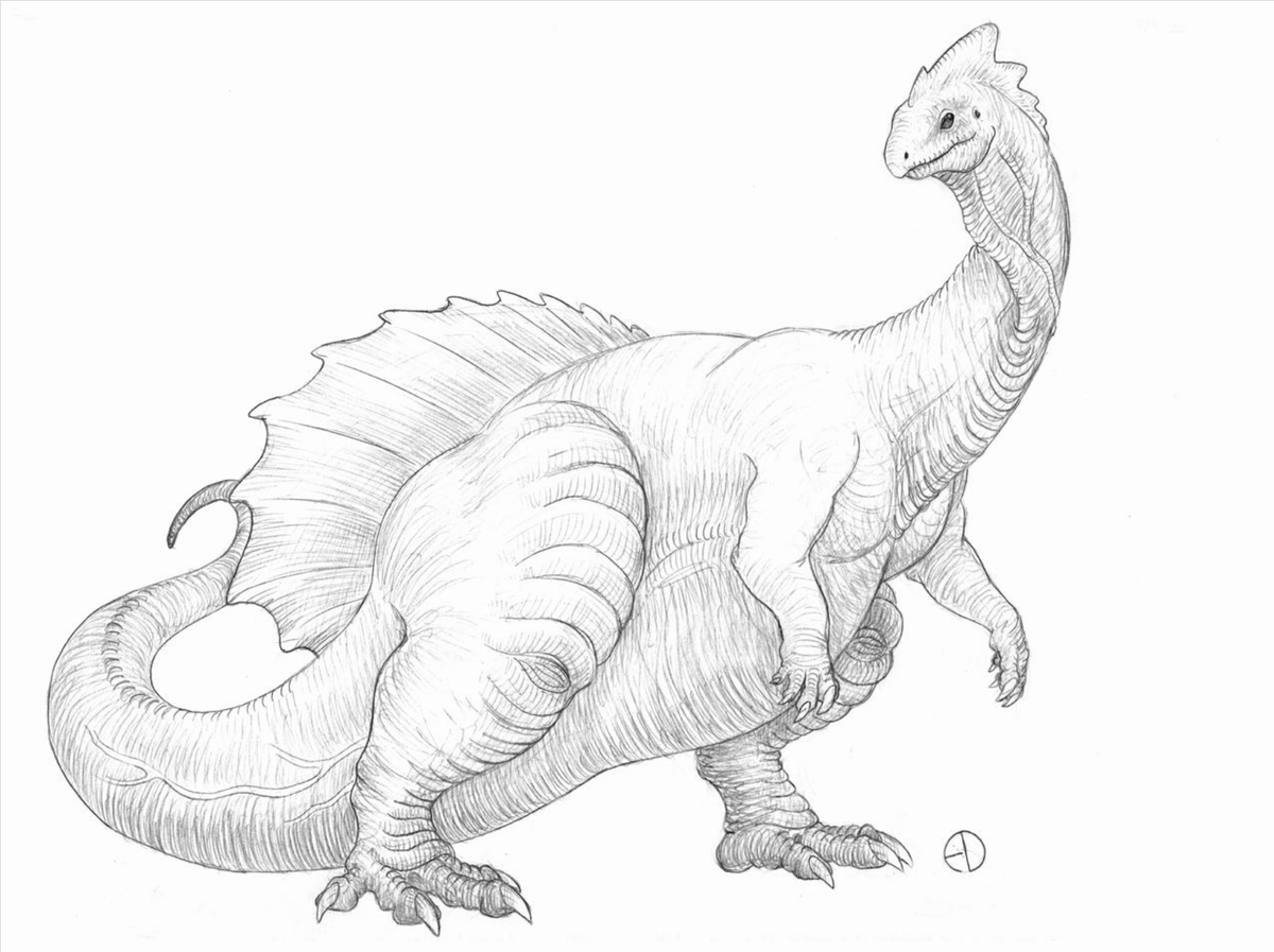 SaurArch's tweet photo. Nomen Dubium III.5.5: Amphisaurus
#scifiart #retro #lostworld #paleoart #mesozoic #triassic #anchisaurus #dinosaur #attheearthscore https://t.co/zYP7VxFIWM
