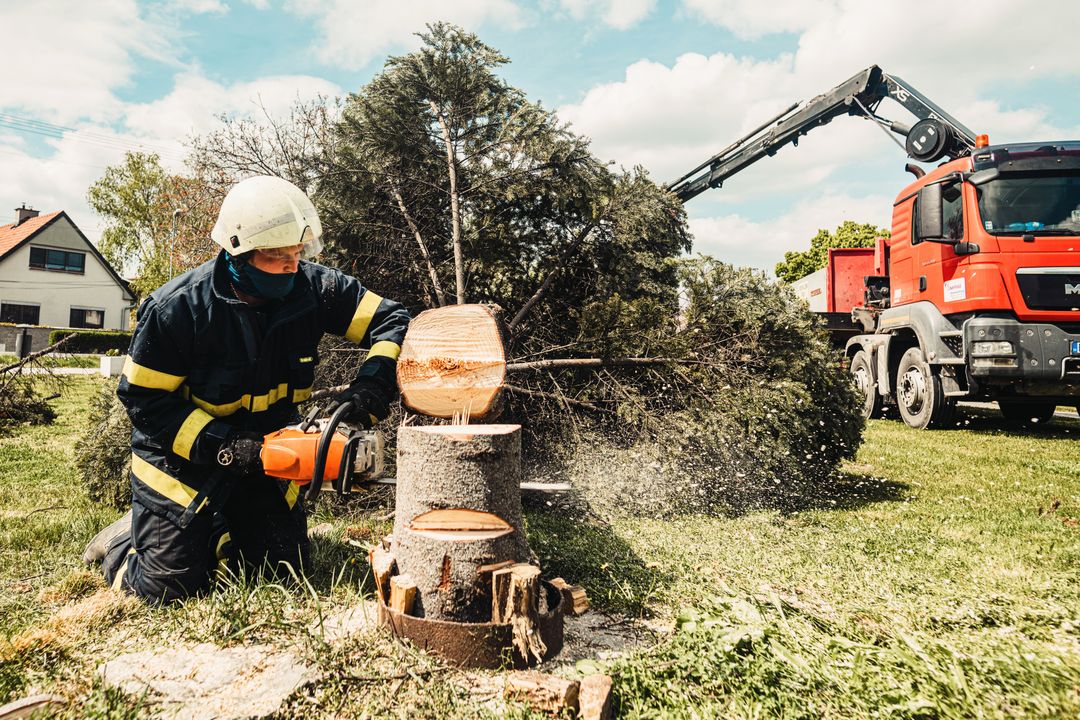 IncTreeManInc's tweet photo. Planning to refresh your yard for fall? Before adding new plants or outdoor décor, take a look overhead. Overgrown limbs can block sunlight, crowd landscapes, and become a concern during windy weather. 🌳

#TreeCare #TreeTrimming #TreeService https://t.co/MT23S2BG72