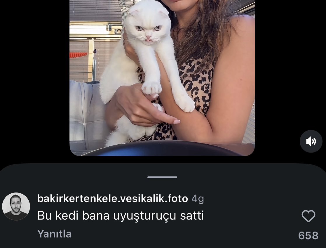 prettiestdiary_'s tweet photo. suratsızlıgımız yüzünden bize atılan iftiralar https://t.co/5l5jLFtzee