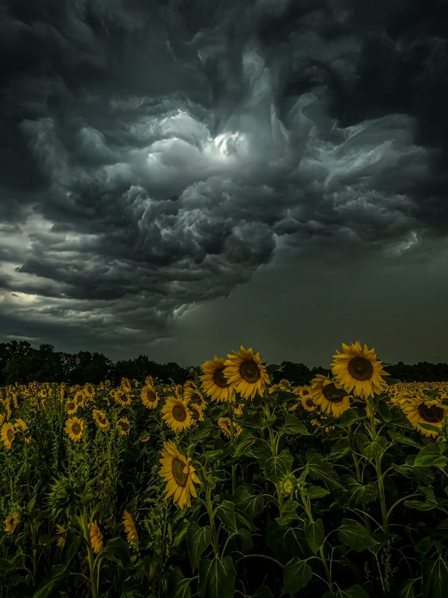 purelivn's tweet photo. gloomy days feel a little more peaceful https://t.co/H10WSGzHak