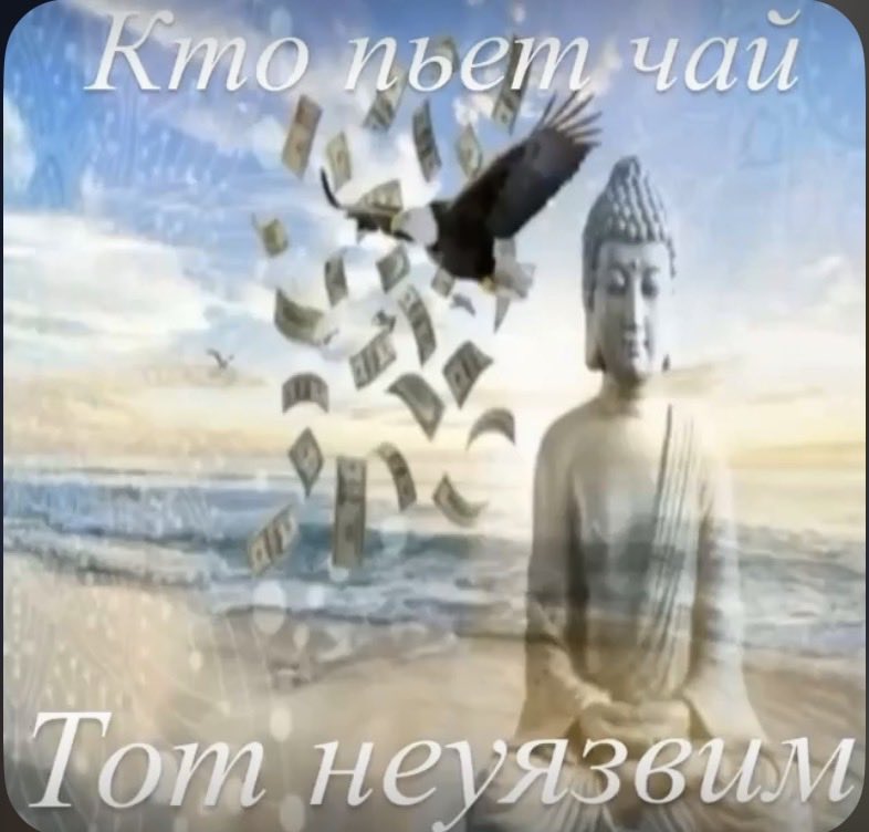 Anyajlu2s's tweet photo. @damienbbiz https://t.co/fO6UTjzZQe