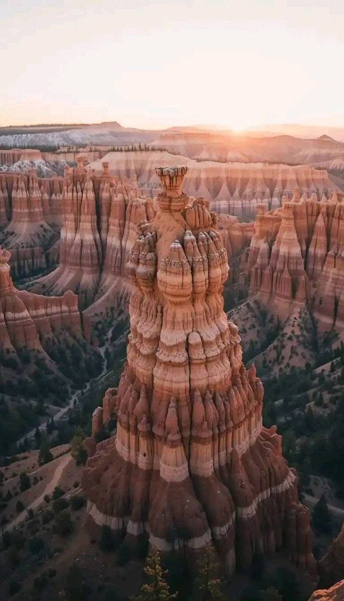 Gankhuyag11's tweet photo. #HappySaturdayFriends 🌞🌷🫶 https://t.co/P1T959inxJ