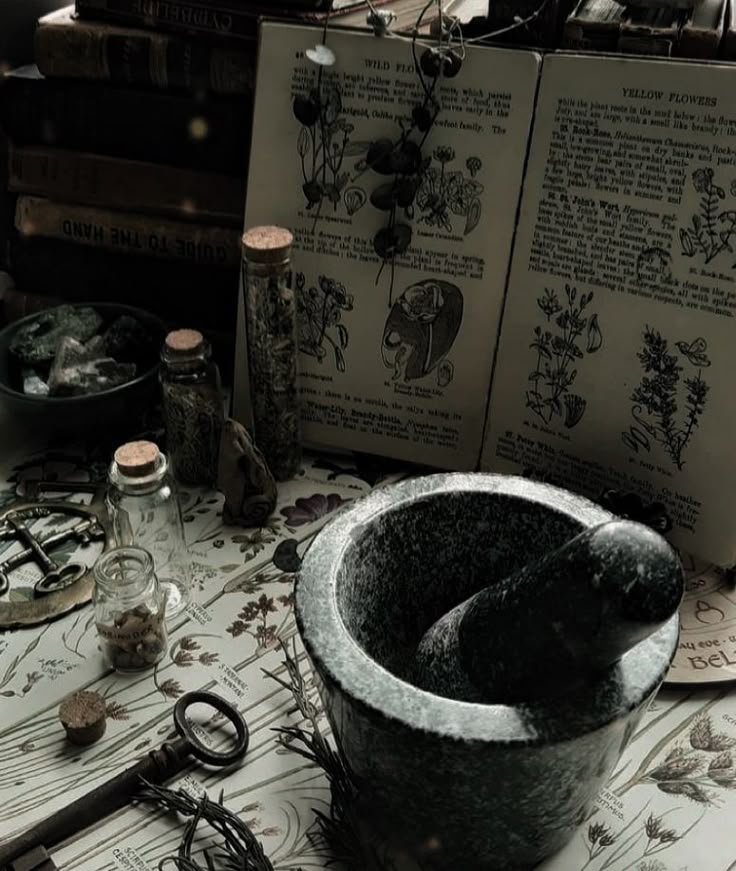 flakespoison's tweet photo. ⠀𝒄onheçα-me ——— #mчthıcαlsversıon

⠀nome: severus t. snape
⠀idade: 21+1 anos
⠀sexualidade: bissexual
⠀espécie: bruxo
⠀ocupação: químico e ocasionalmente dou aulas nas horas vagas
⠀hobbies: ler, estudar, cuidar dos animais, jardinagem e desenhar. https://t.co/LadaGGMq25
