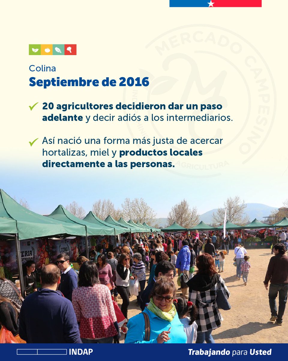 INDAP_Chile's tweet photo. Todo comenzó en Colina cuando un grupo de productores aceptó la invitación de INDAP que en alianza con ese municipio generó este espacio. Los vecinos se sorprendieron con estos productos de la zona, recién cosechados o elaborados, y ofrecidos directamente por los agricultores 🧑‍🌾 https://t.co/Cj9b6Wcuyt
