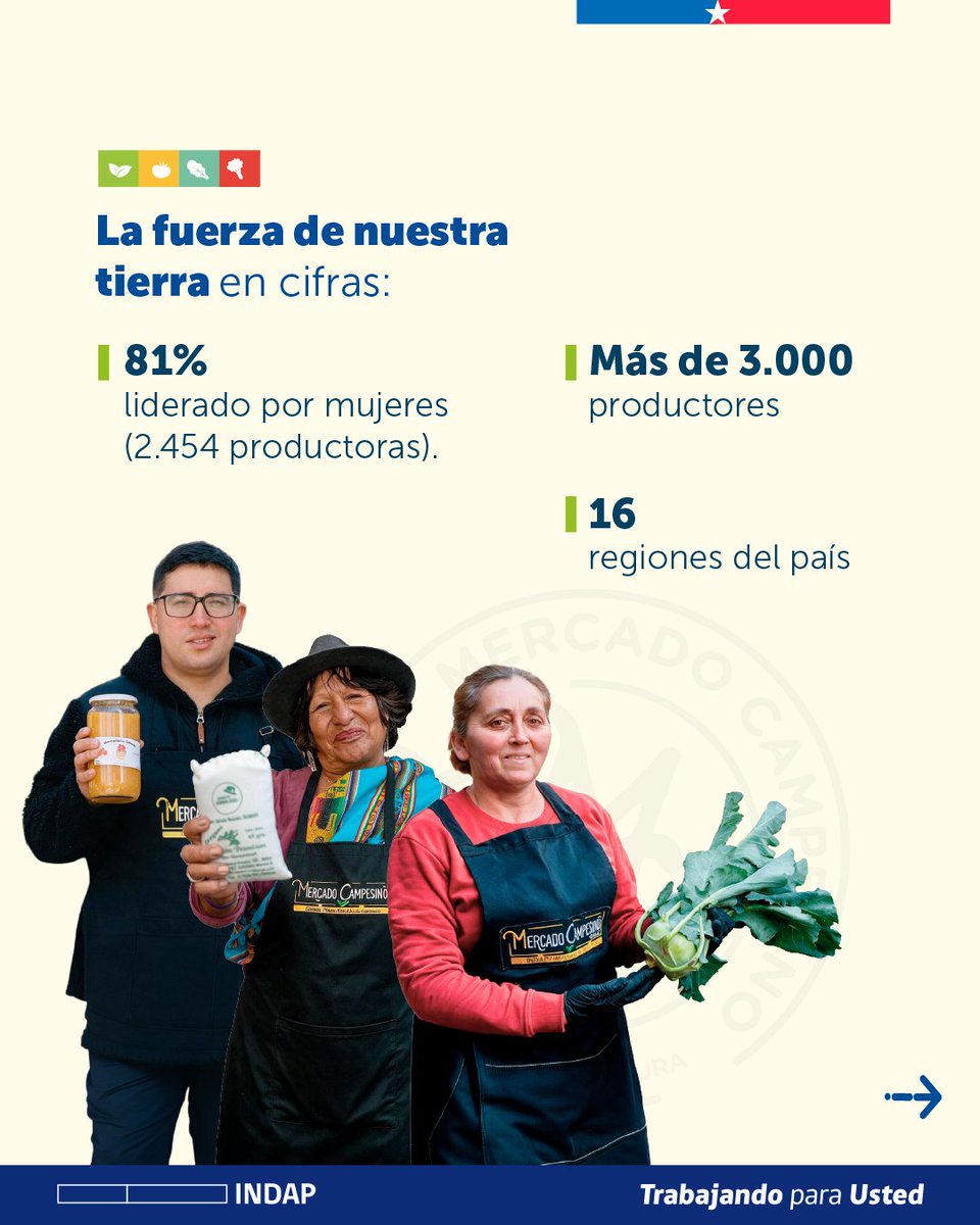 INDAP_Chile's tweet photo. Economía local, comercio justo y productos frescos y con sabor, marcan estos 10 años de Mercados Campesinos de INDAP en todo Chile.

¡Visita tu Mercado Campesino más cercano y súmate a este aniversario! 

Encuentra los puntos y horarios en 
https://t.co/YOYqcC36wT https://t.co/GWdXrKIU6E